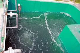 Thông tin đa chiều về việc "phát hiện vụ đấu nối trộm nước sạch sông Đà lớn nhất"