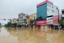 Lũ sông Thao tại Yên Bái đặc biệt lớn, bằng lũ lịch sử năm 2008