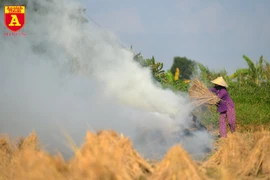 Phát động cuộc thi viết về “Bảo vệ môi trường trên địa bàn Hà Nội năm 2020”