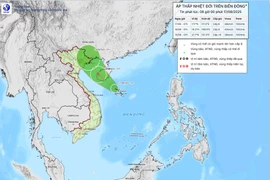 Áp thấp trên Biển Đông liệu có thành bão, ảnh hưởng gì đến Việt Nam?