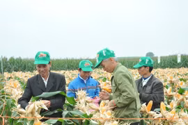 Điểm chuyển giao tiến bộ kỹ thuật cho nông dân