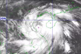 Dự báo, bão số 5 sẽ đổ bộ đất liền với cường độ cấp 13-14