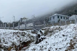 Rét hại, nền nhiệt ở Bắc bộ lại xuống dưới 0 độ C vào cuối tuần