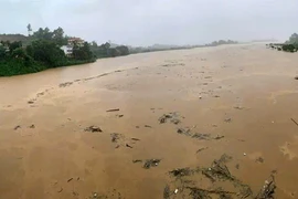 Mưa xối xả trong đêm ở miền núi phía Bắc, nước sông vượt báo động 3