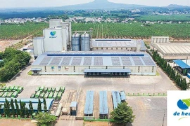 Tập đoàn De Heus mua lại hoạt động sản xuất thức ăn chăn nuôi của Masan