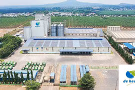 Tập đoàn De Heus mua lại hoạt động sản xuất thức ăn chăn nuôi của Masan