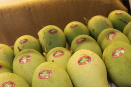 Trung Quốc tạm dừng nhập xoài Cao Lãnh vì bị giả mạo xuất xứ, ngành nông nghiệp nói gì?
