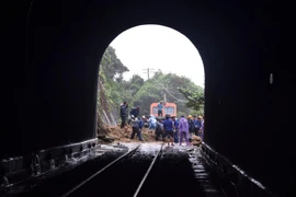 Yêu cầu hai Công ty báo cáo việc đấu thầu vật tư ray đường sắt