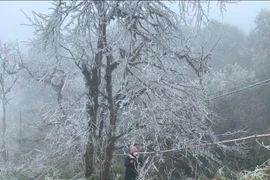 Sáng mai, toàn Bắc bộ chuyển rét tê tái, nhiều nơi xuống dưới 2 độ C