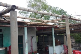 Bắc bộ mưa lớn và rét, bão số 13 không gây thiệt hại lớn về người và tài sản