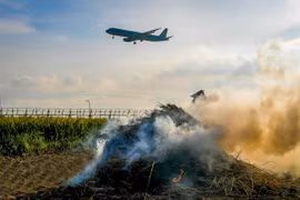 Một chuyến bay chuẩn bị hạ cánh chợt phát hiện diều ở đầu đường băng