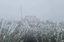 Đỉnh Mẫu Sơn xuống âm 0,9 độ C, Bắc bộ chìm trong rét hại