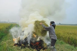 Sau năm 2020, Hà Nội chấm dứt đốt rơm rạ gây ô nhiễm không khí