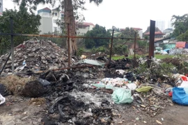 Kiểm tra, xử lý tình trạng đổ trộm chất thải rắn và đốt rác thải sinh hoạt