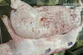 "Ông lớn" chăn nuôi C.P trấn an khách hàng trước thông tin tố trà trộn lợn bệnh bán ra thị trường