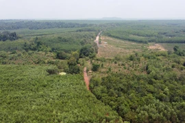 Doanh nghiệp nào vừa được Đồng Nai chấp thuận xây 13km đường trên cao xuyên rừng Mã Đà?