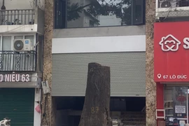 Ai chịu trách nhiệm làm rõ việc cây xanh bị xâm hại hay chết tự nhiên?