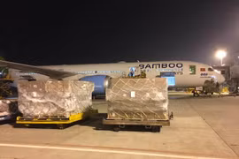 Hàng không đồng loạt nhận chuyển hàng cứu trợ miền Trung miễn phí