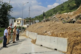 Sạt lở đất khiến cầu Móng Sến cao nhất Việt Nam tạm dừng hoạt động