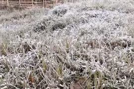 Băng giá tái xuất trên đỉnh Mẫu Sơn