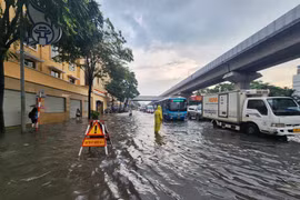 Gần 4.000 người ứng trực thoát nước, xử lý cây xanh gãy đổ chống bão số 3