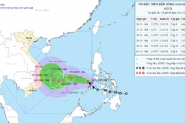 Bão số 15 diễn biến phức tạp, cường độ cực đại có thể giật cấp 14