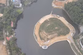 Hà Nội yêu cầu chấm dứt việc cho thuê đất nông nghiệp, đất công trái quy định