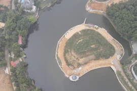 Hà Nội yêu cầu chấm dứt việc cho thuê đất nông nghiệp, đất công trái quy định