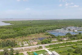 Thái Bình giữ nguyên khu bảo tồn thiên nhiên đất ngập nước Tiền Hải