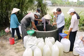 Hạn mặn ở đồng bằng sông Cửu Long khốc liệt nhất trong vòng 10 năm qua