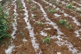 Bắc bộ chấm dứt nắng nóng, đề phòng giông lốc, mưa đá sau nhiều ngày nắng gay gắt