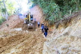 Quảng Nam muốn lấy rừng làm đường vào vùng sâm Ngọc Linh, Bộ Nông nghiệp nói phải cẩn trọng