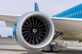 Chim va hỏng động cơ máy bay