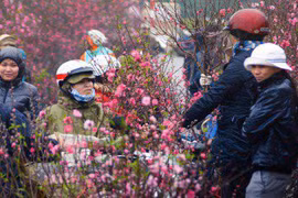 Không khí lạnh tăng cường tràn xuống, Bắc bộ mưa rét từ đêm nay