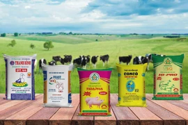 Thị trường thức ăn chăn nuôi: Doanh nghiệp ngoại “hốt” bạc tỷ, doanh nghiệp nội lép vế