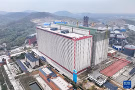 Hà Nội yêu cầu đánh giá sự phù hợp của mô hình nuôi lợn trong nhà cao tầng của Công ty BAF