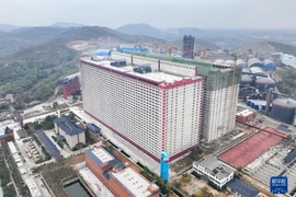 BAF "bắt tay" Tập đoàn Trung Quốc đề xuất mô hình xây chung cư nuôi lợn