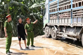 Liên tục phát hiện lợn chết, lợn bệnh được chở đi tiêu thụ, yêu cầu chấn chỉnh