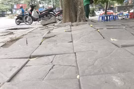 Hà Nội yêu cầu đánh giá tình trạng hư hỏng, xuống cấp của vỉa hè lát đá