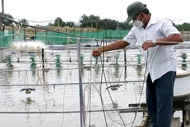 Tôn vinh 63 nông dân Việt Nam xuất sắc 2021