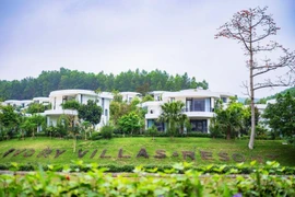 Ivory Villas & Resort: Nơi nghỉ dưỡng, chốn sinh lời