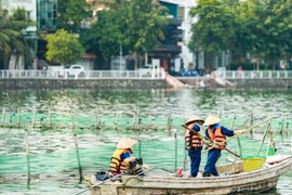 Cá chết nổi đầy Hồ Tây, công nhân thoát nước thu vớt mỗi ngày 50 kg
