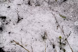 Nhiều nơi mưa đá, giông lốc tốc mái nhà do ảnh hưởng của không khí lạnh