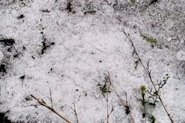 Nhiều nơi mưa đá, giông lốc tốc mái nhà do ảnh hưởng của không khí lạnh