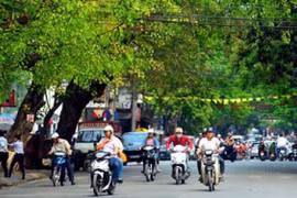 Thời tiết ngày mùng 3 Tết: Bắc bộ tăng nhiệt, chỉ còn rét về đêm và sáng