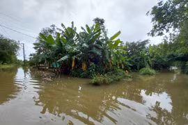 Biển Đông xuất hiện vùng áp thấp, miền Trung tiếp tục mưa lũ phức tạp