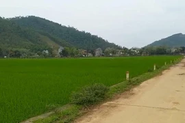 Bộ Tài nguyên “thúc” kiểm tra, xử lý các dự án “ôm” đất chậm triển khai