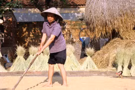 Báo động: Nông dân thêm nghèo đói, dù xuất khẩu nhất nhì thế giới 