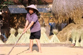 Báo động: Nông dân thêm nghèo đói, dù xuất khẩu nhất nhì thế giới 