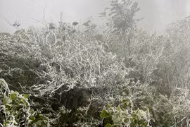 Không khí lạnh liên tiếp tràn về, Bắc bộ rét đậm, rét hại kéo dài 